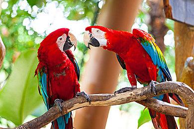 网传《荒野大镖客3》已正式开发中 故事在二代之前