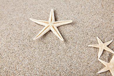 《叛乱：沙漠风暴》军阀行动内容更新现已登陆主机